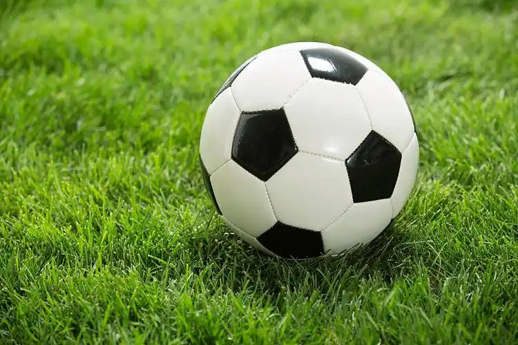 捷报比分多平台下载展示